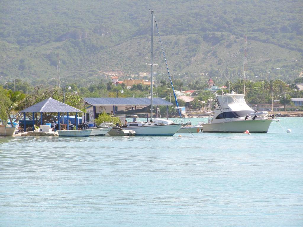 Hotel Loro Tuerto Barahona ภายนอก รูปภาพ